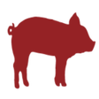 Programın simgesi: MailHog
