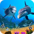 Ikon program: Dolphin Fish Live Wallpap…