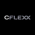 程序图标：Castle Flexx