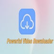 Icon of program: DmSave - Powerful Video D…