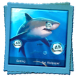 程序图标：Shark Live Wallpaper