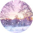 ไอคอนของโปรแกรม: Winter Snow Wallpaper