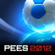 Icon of program: Play PEES 2012
