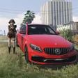 Icon of program: C63 Parking Expert