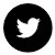 Symbol des Programms: Black Tweet