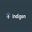 Icoon van programma: Indigen