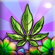 프로그램 아이콘: CannaFarm