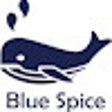 Blue Spice icon