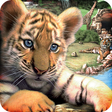 プログラムのアイコン：Wildlife Park