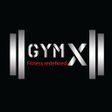 程序图标：GymX
