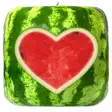 Watermelon Prober
