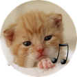 プログラムのアイコン：calling cat
