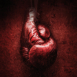 أيقونة البرنامج: Boxing Wallpapers