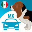 Icon of program: Rastreator : Seguros Auto…