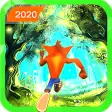 Crash Adventure Rush - Bandicoot Runner Game 2020