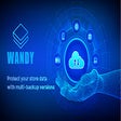 Ícone do programa: Wandy Extension