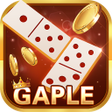 プログラムのアイコン：Domino Gaple  qiuqiu  Big…