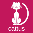 Cattus Learn Latin