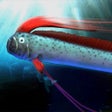 プログラムのアイコン：oarfish and deep-sea fish