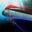 Icon of program: oarfish and deep-sea fish