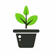 プログラムのアイコン：Cultivate Vegetables  Fru…