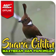 Ikon program: Suara Masteran Cililin AM…