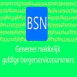 Icon of program: BSN generator helper