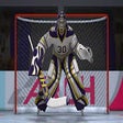Icon of program: Hockey Shootout