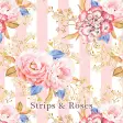 Strips  Roses Theme