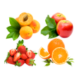 Ikon program: Learn Fruits Vegetables