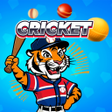 Icoon van programma: P.Match.Cricket