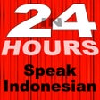 プログラムのアイコン：In 24 Hours Learn Indones…