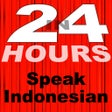 In 24 Hours Learn Indonesian