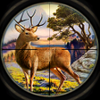 Ikon program: Wild Animal Hunting Game …