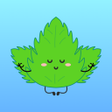 プログラムのアイコン：Mint VPN