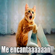 Icon of program: Imagenes de risa