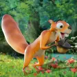 Squirrel Run For Life: Ardilla