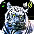Ikona programu: Animal Sounds Ringtones