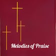 程序图标：Melodies of Praise