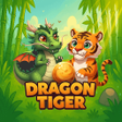 Programın simgesi: Dragon X Tiger