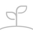 Icono de programa: 成长之树