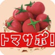 トマサポ icon