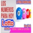 Ícone do programa: Numero para hoy