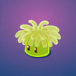Symbol des Programms: Corals Garden
