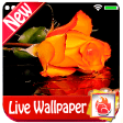Roses Live Wallpaper 2019 free flowersRoses LWP