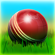 Biểu tượng của chương trình: Cricket 3D World Street C…