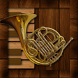 Иконка программы: Professional French Horn