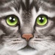 Icon of program: Ultimate Cat Simulator