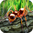 أيقونة البرنامج: Ants Survival Simulator -…