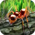 Ants Survival Simulator - go to insect world!